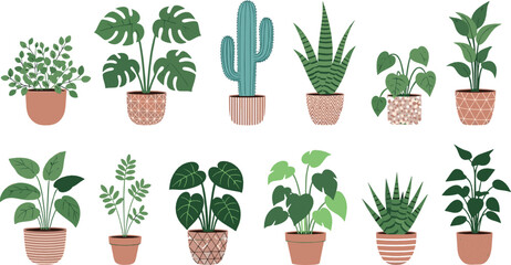 Indoor potted plants set &ndash; modern houseplants collection with monstera, cactus and tropical greenery