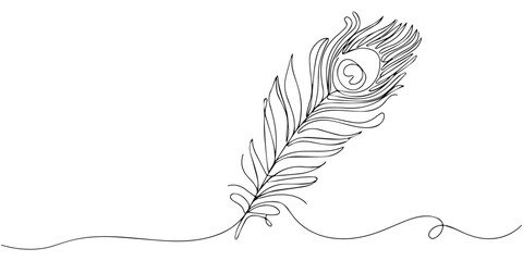 Obraz premium Feather's Grace: A delicate, single-line illustration captures the elegance and beauty of a peacock feather, showcasing its intricate detail.