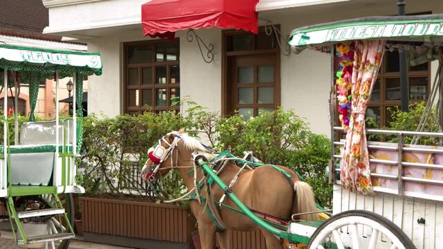 Traditional Filipino Kalesa Horse Carriage Parked Outside a Building in Manila