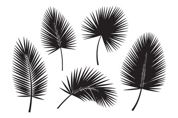 Fototapeta premium Set of tropical palm tree leaves in black silhouette on white background