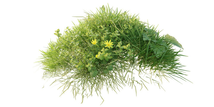 Verdant Hill Blooming with Yellow Flowers in Spring. 3D render.	
