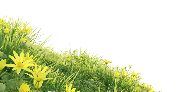 Verdant Hill Blooming with Yellow Flowers in Spring. 3D render.	
