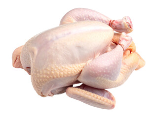 Whole raw poultry, trussed and ready for cooking