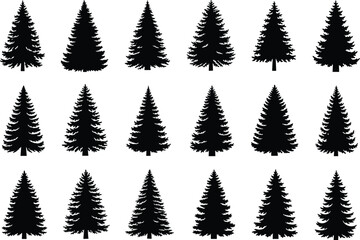 Fototapeta premium Black vector silhouette set of pine and spruce trees for concepts of nature forest winter Christmas outdoors wilderness and branding