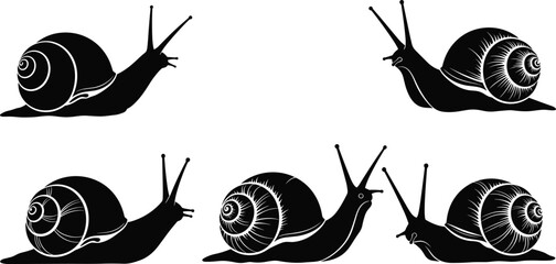 Garden snail silhouette set isolated on white background detailed gastropod vector collection © Monteza