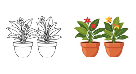 Obraz premium Coloring book page showing outline of potted plants next to a vibrant colored illustration of two blooming tropical house flowers in terracotta containers