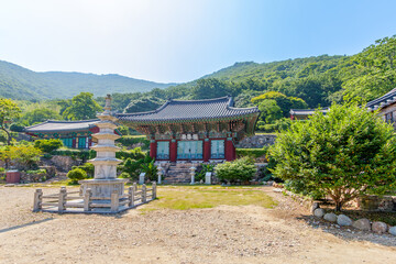 전남 고흥군 금탑사의 여름