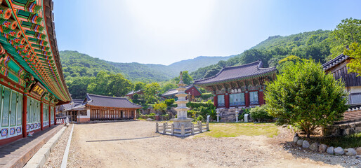 전남 고흥군 금탑사의 여름