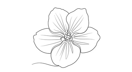 Fototapeta premium Simple Line Drawing of a Five-Petaled Flower