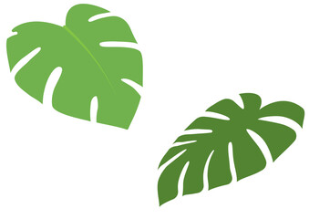 Green monstera leaf icon set