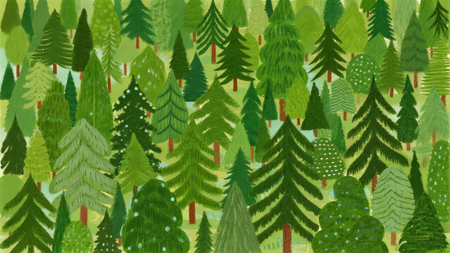 Green forest background, pine trees illustration and nature pattern
