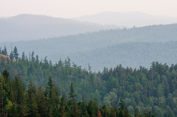 Naklejka premium Southern Urals in summer, Bashkortostan: mountain taiga in a haze.