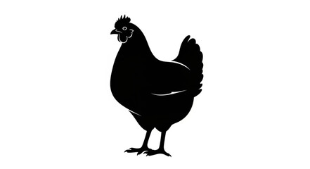 Black Silhouette Chicken Standing Alone. © milah