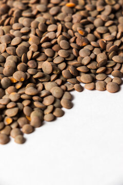 Top-Down Close-Up of Raw Whole Brown Lentils (Sabut Masoor Dal) Spilled on a Clean White Surface, High-Angle Texture Background of Organic Dried Legumes and Healthy Plant-Based Protein Ingredients.