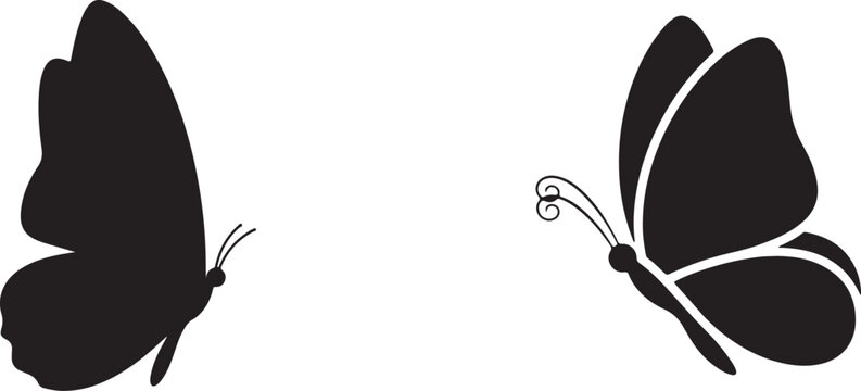Buterfly silhouette 