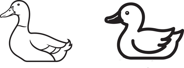 Fototapeta premium duck and ducklings