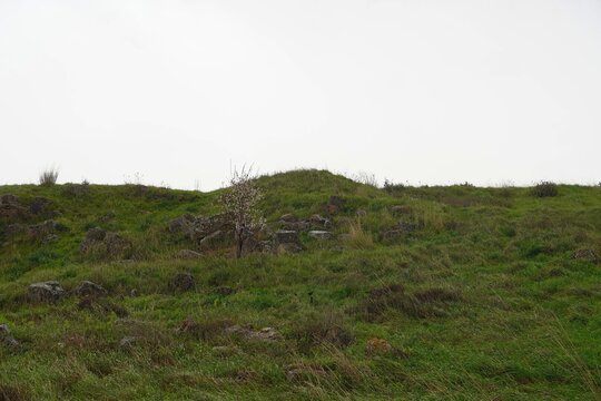A tumulus near the battlefield of Plataea, in Boeotia, Greece, possible tomb of Greeks killed in the battle of 479 BCE
