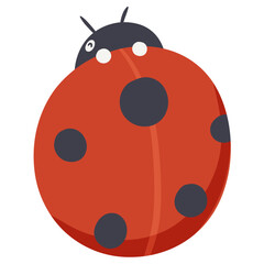 Obraz premium Cute Ladybug