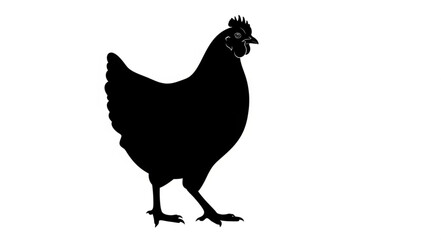 Black Silhouette of Chicken Standing. © JARWO