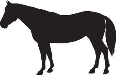 Obraz premium Elegant Horse Silhouettes – Black Horse Outline Vector for Art and Design