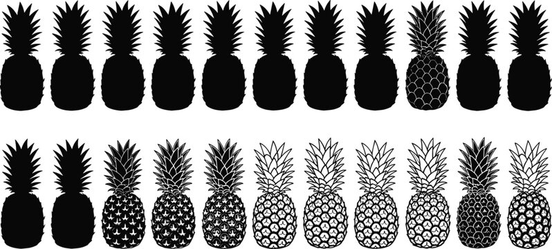 Set of Pineapple Fruit Icons and Silhouette Vector Illustrations for Tropical Graphic Design Elements Isolated on a White Background Collection.