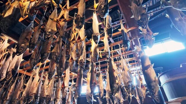 塩引鮭の吊るされた日本家屋