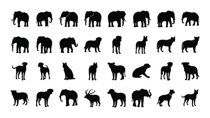 Collection of various animal silhouettes on a white background isolated on white background, Vector © SILHUETTECHEMBER