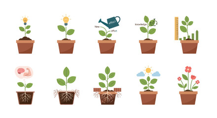 Obraz premium Ten Illustrated Potted Plants Showing Growth Stages and Concepts.