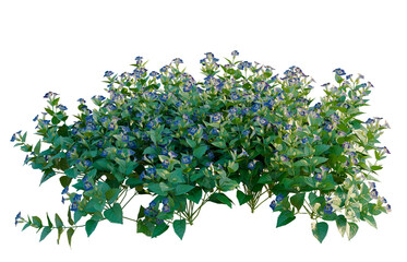Obraz premium Torenia fournieri tree, elevation, front view, cutout, transparent background, isolate, Detailed Green Leaves Close-Up, Intricate Natural Texture for Backgrounds and Design Elements
