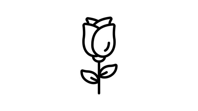 A linear animated icon showing a single blooming rose