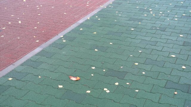 Asphalt and plastic mixture, Synthetic rubber sports surface with fallen leaves outdoors