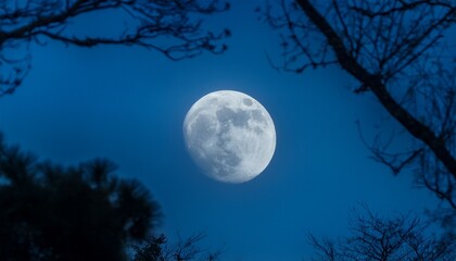 Fototapeta premium The Moon Glows Faintly In The Sky Casting An Eerie Glow On The Surrounding Shadows