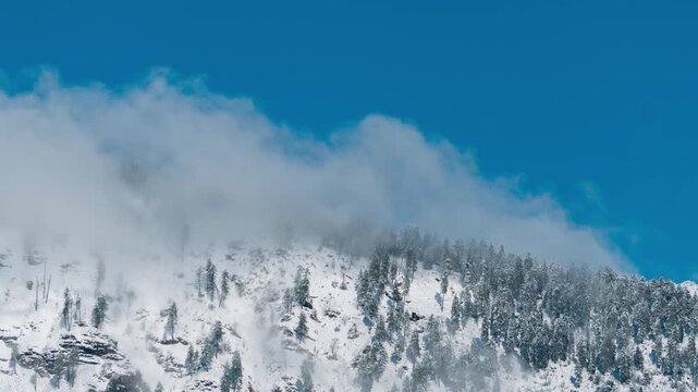 4K Timelapse of a snowy, frozen mountains and pine trees on peak as seen from Naggar, Himachal Pradesh, India. Time lapse of clouds moving above Pine trees. Nature landscape. Travel and holidays conce