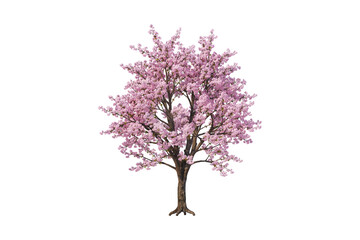 Naklejka premium lilac tree isolated on white