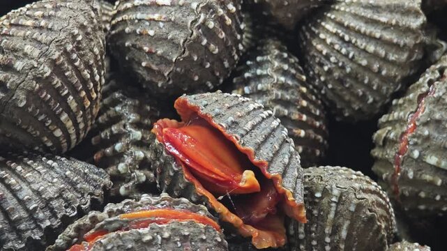 Fresh raw cockles in market.
