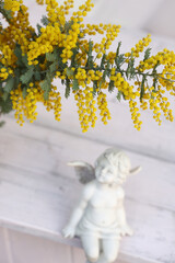 ミモザの花とみあげる天使