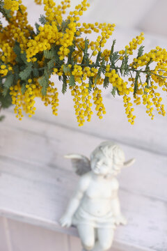 ミモザの花とみあげる天使
