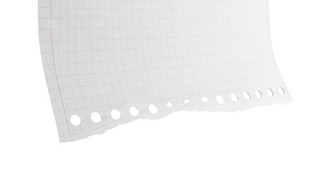 Torn graph paper with hole punch