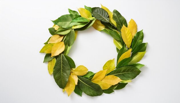 Autumn Wreath Made Of Lemon Leaves Salal Isolated On White Background