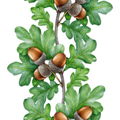 Oak tree branch seamless border decor. Hand drawn oak elegant twigs with green leaves and acorns vintage style watercolor illustration. Forest foliage element natural decoration on white background.