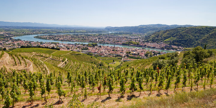 Les m&eacute;andres du Rh&ocirc;ne entre Tournon et Tain l'Hermitage au pied des vignes