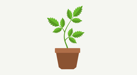Fototapeta premium Potted Plant Illustration – Indoor Green Leaf Houseplant Vector Design