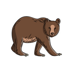 Obraz premium Detailed Illustration of a Wild Bear