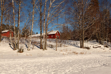 Red house in the forest