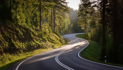 A Winding Road Through A Forest With Trees On Both Sides