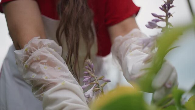 Woman in red shirt tending hosta with lace gloves and white apron, lowangle intimate shots, gentle hand movements, backyard garden, overcast sky, nurturing atmosphere, slow methodical pruning