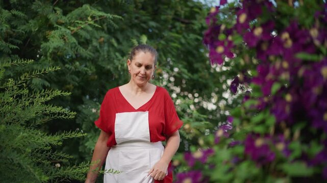 Elderly caucasian woman tending purple flowers, wearing red blouse and white apron, walking through lush backyard, inspecting and smelling clematis on wooden trellis, gentle smile, calm afternoon,