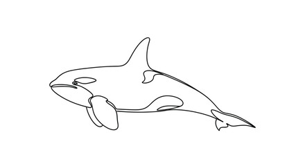 Continuous Line Drawing of a Swimming Orca or Killer Whale © Line Home