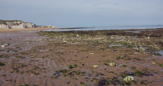 Extra wide panning shot looking west up Botany Bay Beach of the chalk stacks and cliffs at low tide. At marine Drive, Broadstairs
