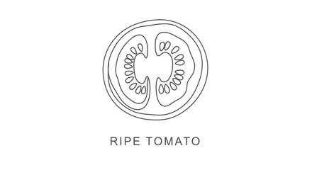 Simple Line Art Illustration of a Ripe Tomato Slice, Healthy Food Concept
